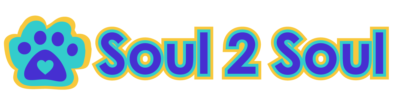 Soul 2 Soul Dog Training